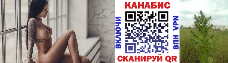 Каннабис гибрид  Тарко-Сале 